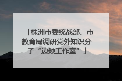株洲市委统战部、市教育局调研党外知识分子“边颖工作室”