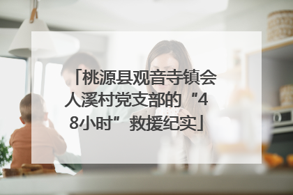 桃源县观音寺镇会人溪村党支部的“48小时”救援纪实