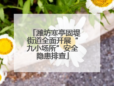 潍坊寒亭固堤街道全面开展“九小场所”安全隐患排查