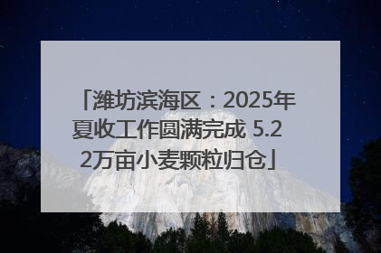 潍坊滨海区：2025年夏收工作圆满完成 5.22万亩小麦颗粒归仓