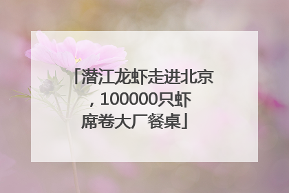 潜江龙虾走进北京，100000只虾席卷大厂餐桌