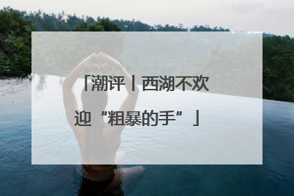 潮评丨西湖不欢迎“粗暴的手”
