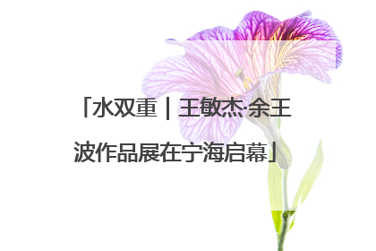 水双重｜王敏杰·余王波作品展在宁海启幕