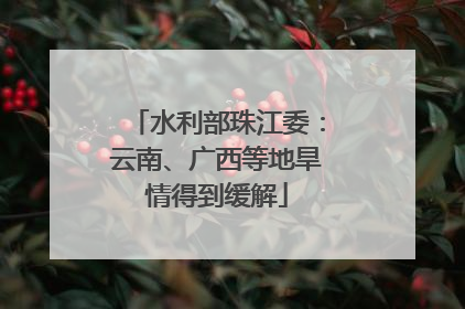 水利部珠江委：云南、广西等地旱情得到缓解