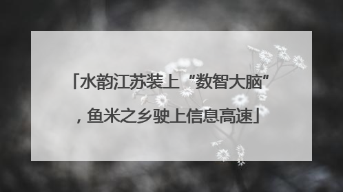 水韵江苏装上“数智大脑”，鱼米之乡驶上信息高速