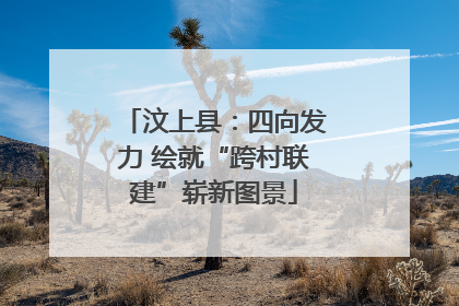汶上县：四向发力 绘就“跨村联建”崭新图景