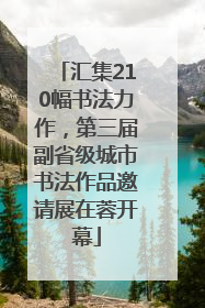 汇集210幅书法力作，第三届副省级城市书法作品邀请展在蓉开幕