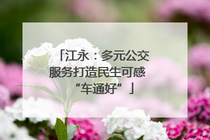 江永：多元公交服务打造民生可感“车通好”