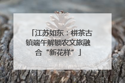 江苏如东：栟茶古镇端午解锁农文旅融合“新花样”