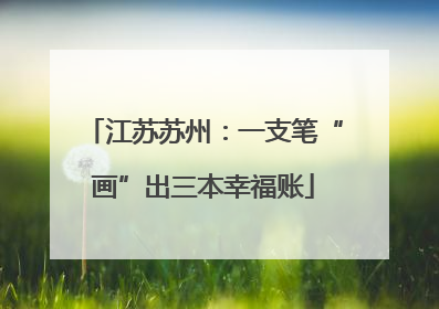 江苏苏州：一支笔“画”出三本幸福账