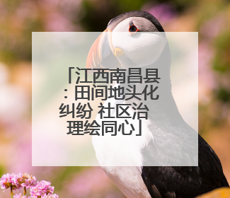 江西南昌县：田间地头化纠纷 社区治理绘同心