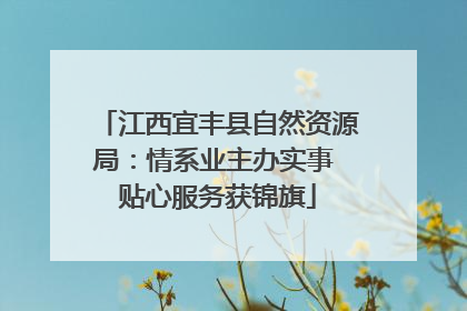 江西宜丰县自然资源局：情系业主办实事 贴心服务获锦旗