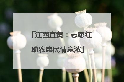 江西宜黄：志愿红助农惠民情意浓