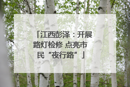 江西彭泽：开展路灯检修 点亮市民“夜行路”