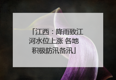江西：降雨致江河水位上涨 各地积极防汛备汛