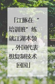 江豚在“培训班”练就江湖本领，外国代表想复制技术回国