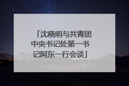 沈晓明与共青团中央书记处第一书记阿东一行会谈