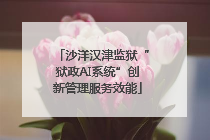 沙洋汉津监狱“狱政AI系统”创新管理服务效能