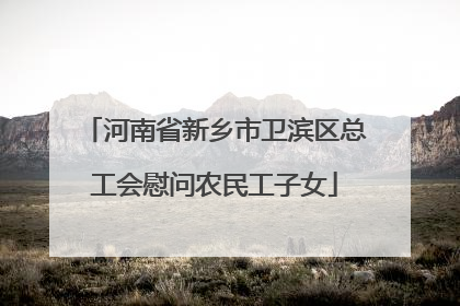 河南省新乡市卫滨区总工会慰问农民工子女