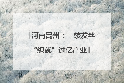 河南禹州：一缕发丝“织就”过亿产业