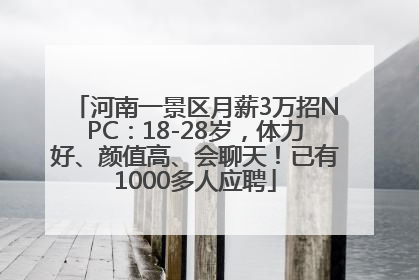 河南一景区月薪3万招NPC：18-28岁，体力好、颜值高、会聊天！已有1000多人应聘