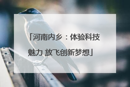河南内乡：体验科技魅力 放飞创新梦想