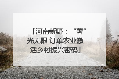 河南新野：“薯”光无限 订单农业激活乡村振兴密码