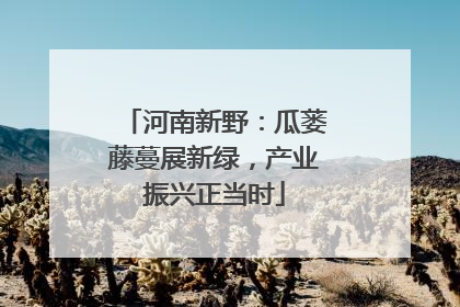 河南新野：瓜蒌藤蔓展新绿，产业振兴正当时