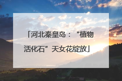河北秦皇岛：“植物活化石”天女花绽放