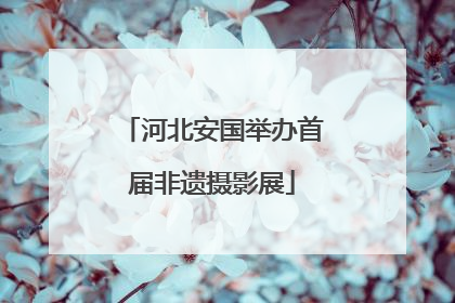 河北安国举办首届非遗摄影展