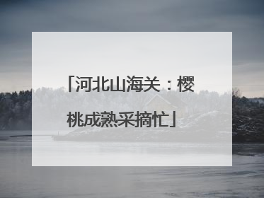 河北山海关：樱桃成熟采摘忙