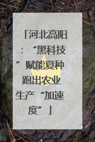 河北高阳：“黑科技”赋能夏种 跑出农业生产“加速度”