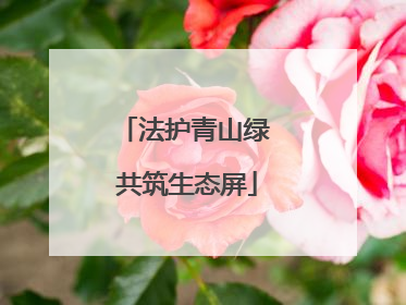 法护青山绿 共筑生态屏