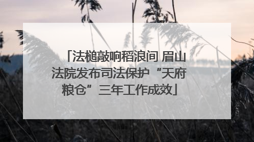 法槌敲响稻浪间 眉山法院发布司法保护“天府粮仓”三年工作成效