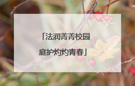 法润菁菁校园 庭护灼灼青春