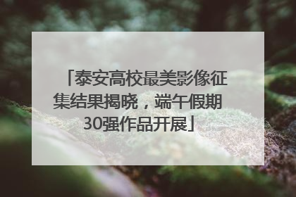 泰安高校最美影像征集结果揭晓，端午假期30强作品开展