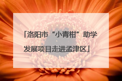 洛阳市“小青柑”助学发展项目走进孟津区