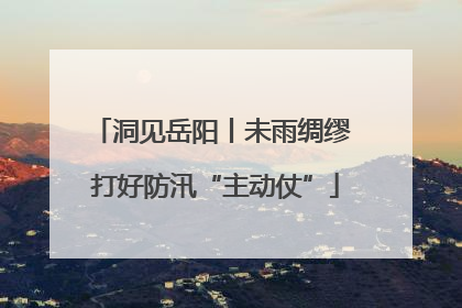 洞见岳阳丨未雨绸缪 打好防汛“主动仗”