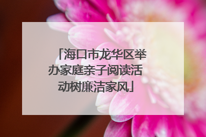 海口市龙华区举办家庭亲子阅读活动树廉洁家风