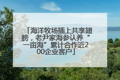海洋牧场插上共享翅膀，老尹家海参认养“一亩海”累计合作近200企业客户
