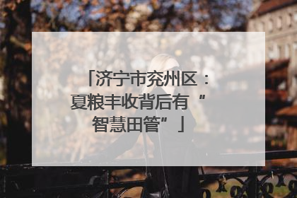 济宁市兖州区：夏粮丰收背后有“智慧田管”