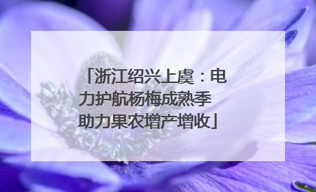 浙江绍兴上虞：电力护航杨梅成熟季 助力果农增产增收