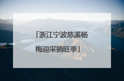浙江宁波慈溪杨梅迎采摘旺季