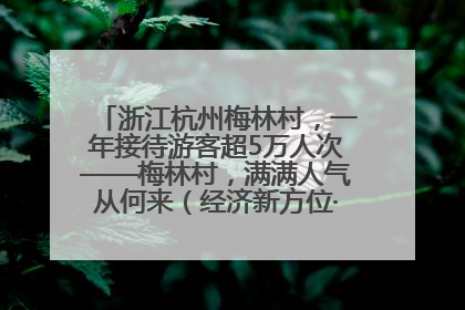浙江杭州梅林村，一年接待游客超5万人次——梅林村，满满人气从何来（经济新方位·农村消费观察）