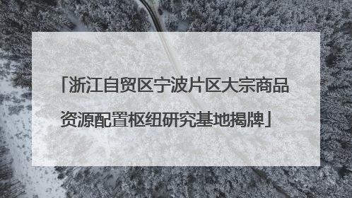 浙江自贸区宁波片区大宗商品资源配置枢纽研究基地揭牌