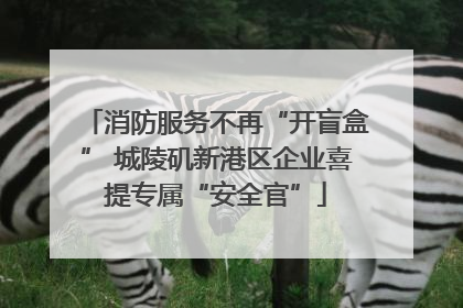 消防服务不再“开盲盒” 城陵矶新港区企业喜提专属“安全官”