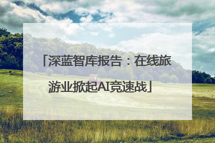 深蓝智库报告：在线旅游业掀起AI竞速战