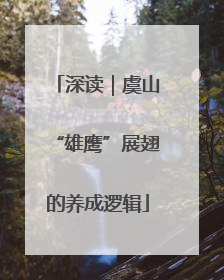 深读｜虞山“雄鹰”展翅的养成逻辑