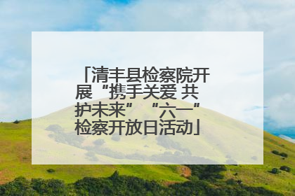 清丰县检察院开展“携手关爱 共护未来”“六一”检察开放日活动