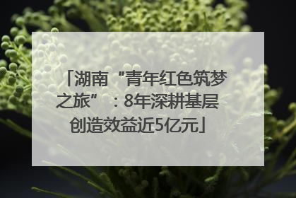 湖南“青年红色筑梦之旅”：8年深耕基层创造效益近5亿元